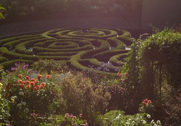 a formal garden in the late afternoon
