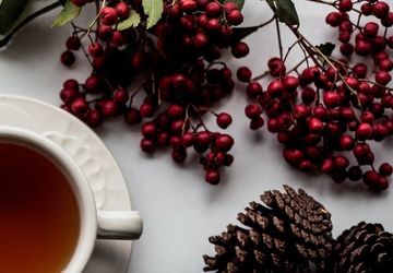 a cup of tea next to red berries and brown pine cones