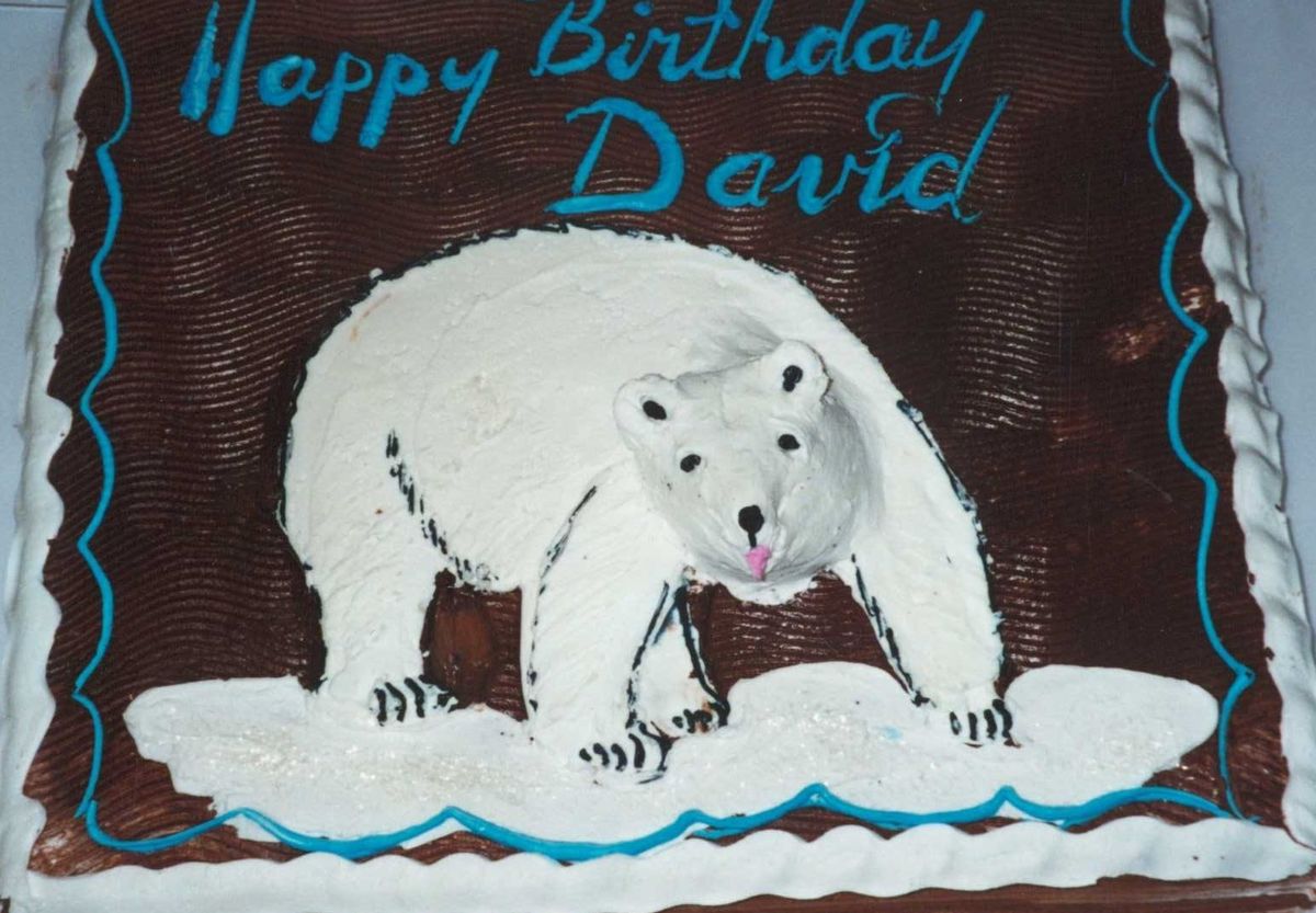 a delicious polar bear cake